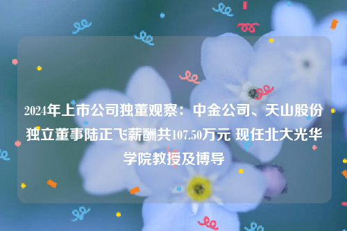2024年上市公司独董观察：中金公司、天山股份独立董事陆正飞薪酬共107.50万元 现任北大光华学院教授及博导