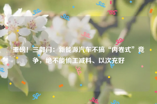 重磅！三部门：新能源汽车不搞“内卷式”竞争，绝不能偷工减料、以次充好