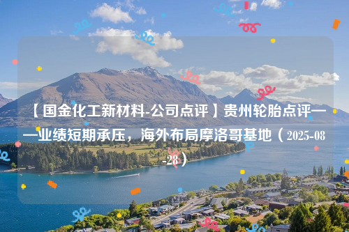 【国金化工新材料-公司点评】贵州轮胎点评——业绩短期承压，海外布局摩洛哥基地（2025-08-28）