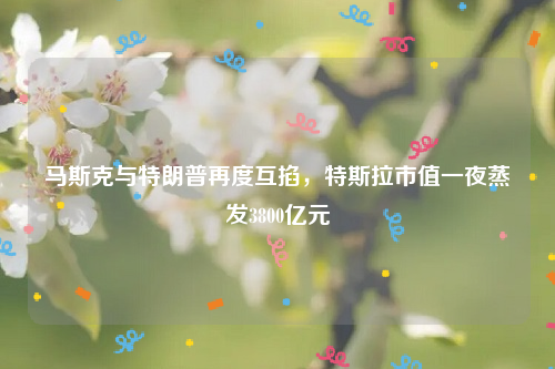 马斯克与特朗普再度互掐，特斯拉市值一夜蒸发3800亿元