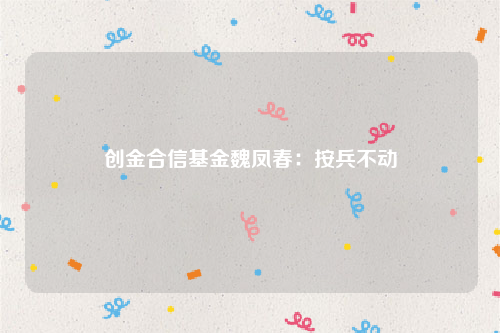 创金合信基金魏凤春：按兵不动