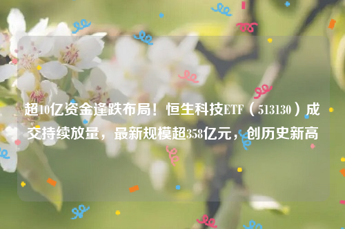 超10亿资金逢跌布局！恒生科技ETF（513130）成交持续放量，最新规模超358亿元，创历史新高