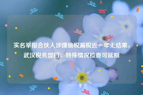 实名举报合伙人涉嫌偷税漏税近一年无结果，武汉税务部门：特殊情况检查可延期