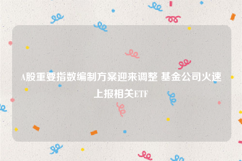 A股重要指数编制方案迎来调整 基金公司火速上报相关ETF