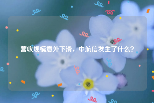 营收规模意外下滑，中航信发生了什么？