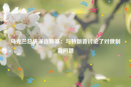 乌克兰总统泽连斯基：与特朗普讨论了对俄制裁问题