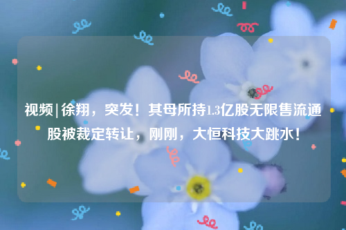 视频|徐翔，突发！其母所持1.3亿股无限售流通股被裁定转让，刚刚，大恒科技大跳水！