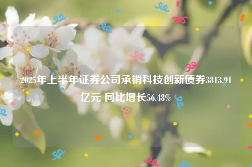 2025年上半年证券公司承销科技创新债券3813.91亿元 同比增长56.48%