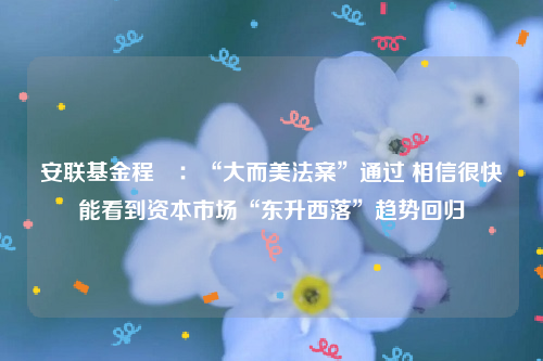 安联基金程彧：“大而美法案”通过 相信很快能看到资本市场“东升西落”趋势回归
