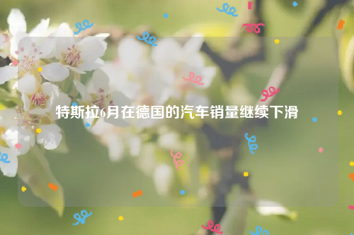 特斯拉6月在德国的汽车销量继续下滑