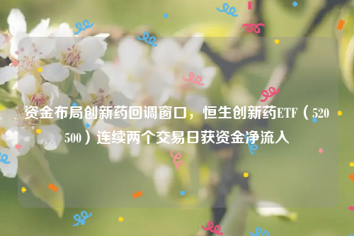 资金布局创新药回调窗口，恒生创新药ETF（520500）连续两个交易日获资金净流入