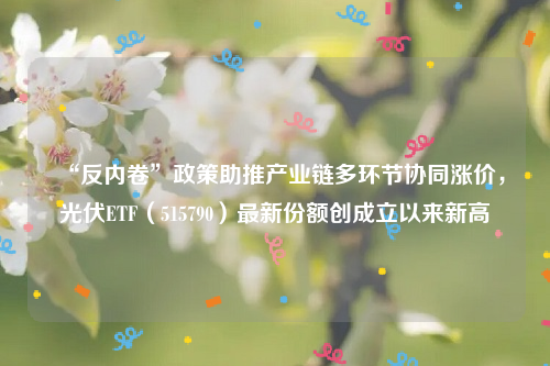 “反内卷”政策助推产业链多环节协同涨价，光伏ETF（515790）最新份额创成立以来新高