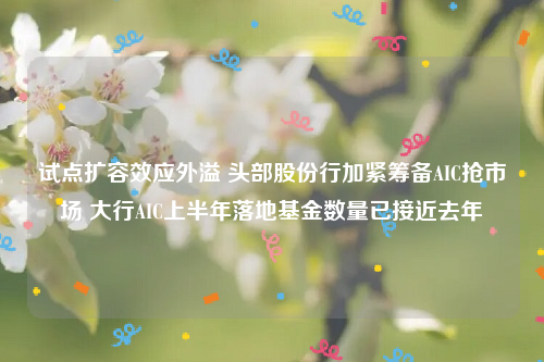 试点扩容效应外溢 头部股份行加紧筹备AIC抢市场 大行AIC上半年落地基金数量已接近去年