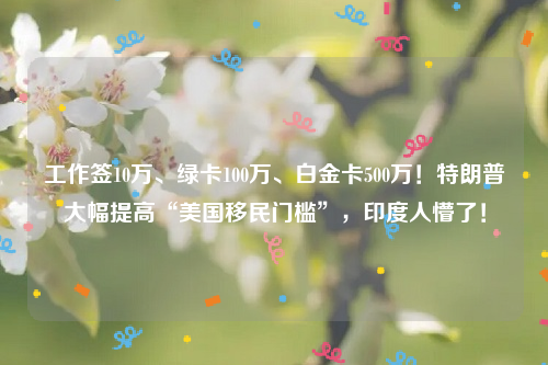 工作签10万、绿卡100万、白金卡500万！特朗普大幅提高“美国移民门槛”，印度人懵了！