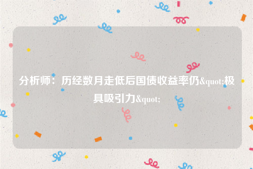 分析师：历经数月走低后国债收益率仍"极具吸引力"