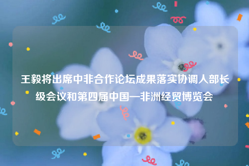 王毅将出席中非合作论坛成果落实协调人部长级会议和第四届中国—非洲经贸博览会