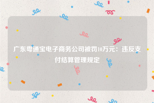广东粤通宝电子商务公司被罚10万元：违反支付结算管理规定