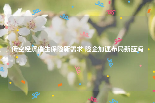 低空经济催生保险新需求 险企加速布局新蓝海