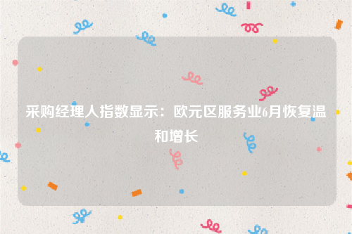 采购经理人指数显示：欧元区服务业6月恢复温和增长