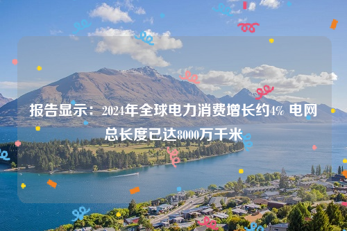 报告显示：2024年全球电力消费增长约4% 电网总长度已达8000万千米