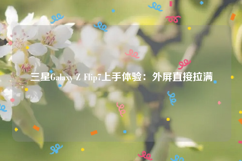 三星Galaxy Z Flip7上手体验：外屏直接拉满