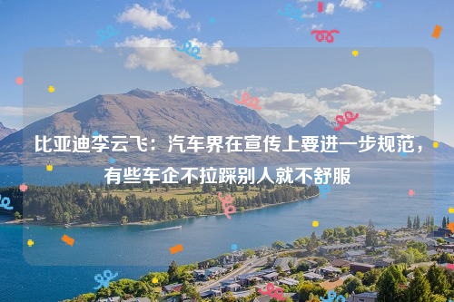 比亚迪李云飞：汽车界在宣传上要进一步规范，有些车企不拉踩别人就不舒服