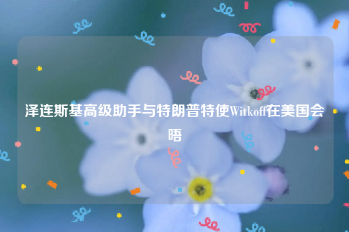 泽连斯基高级助手与特朗普特使Witkoff在美国会晤