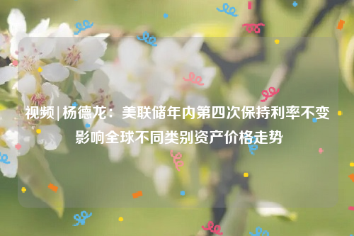 视频|杨德龙：美联储年内第四次保持利率不变 影响全球不同类别资产价格走势