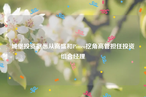 城堡投资据悉从高盛和Pimco挖角高管担任投资组合经理