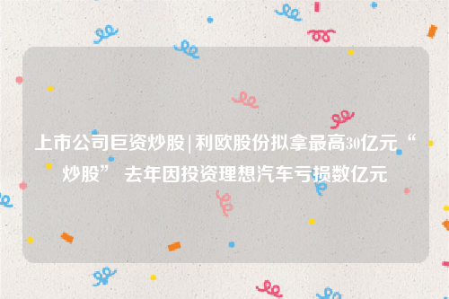 上市公司巨资炒股|利欧股份拟拿最高30亿元“炒股” 去年因投资理想汽车亏损数亿元