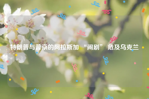 特朗普与普京的阿拉斯加 “闹剧” 危及乌克兰