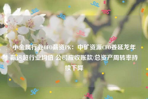 小金属行业CFO薪资PK：中矿资源CFO姜延龙年薪远超行业均值 公司应收账款/总资产周转率持续下降