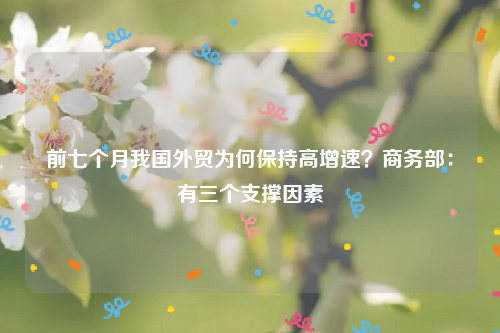 前七个月我国外贸为何保持高增速？商务部：有三个支撑因素