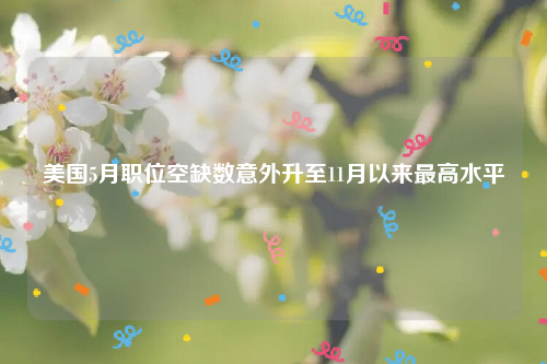 美国5月职位空缺数意外升至11月以来最高水平