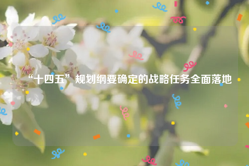 “十四五”规划纲要确定的战略任务全面落地