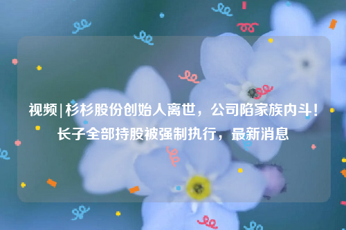 视频|杉杉股份创始人离世，公司陷家族内斗！长子全部持股被强制执行，最新消息