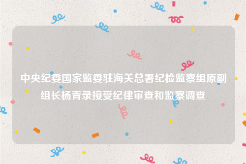 中央纪委国家监委驻海关总署纪检监察组原副组长杨青录接受纪律审查和监察调查