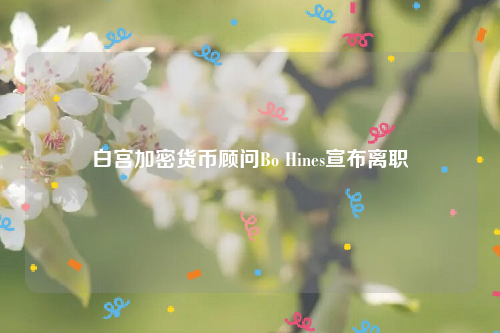 白宫加密货币顾问Bo Hines宣布离职