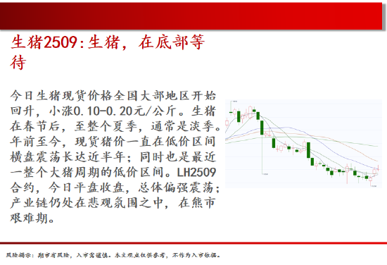 中天期货:棕榈再度下跌 纯碱低位震荡