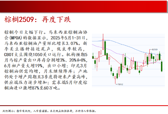 中天期货:棕榈再度下跌 纯碱低位震荡