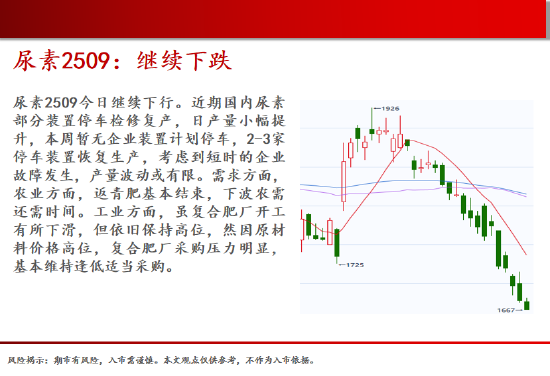 中天期货:棕榈再度下跌 纯碱低位震荡