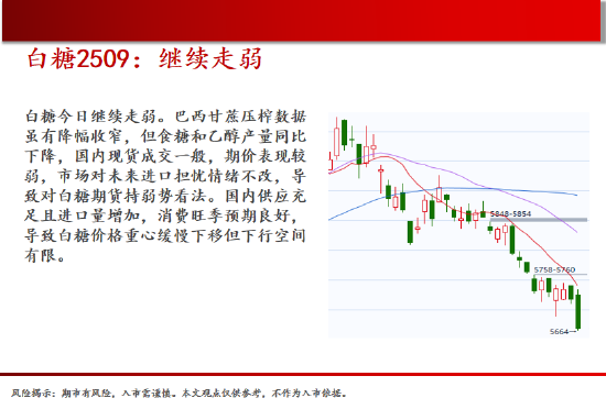 中天期货:棕榈再度下跌 纯碱低位震荡