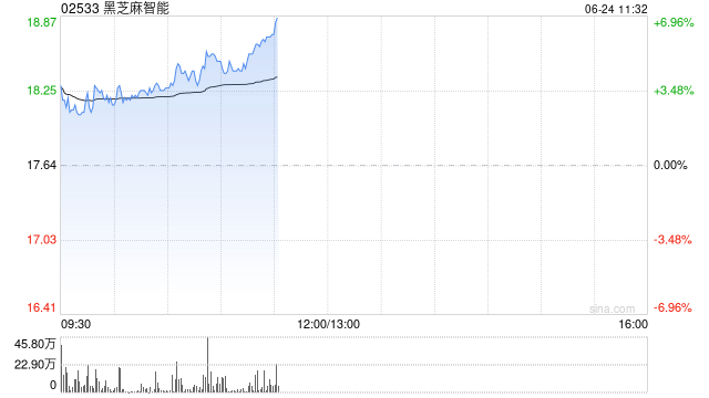 黑芝麻智能盘中涨超5% 拟回购公司股票最高总价1亿元