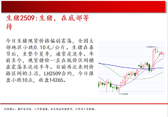 中天期货:螺纹关注上涨动能 棕榈继续走高