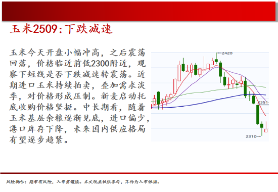 中天期货:螺纹关注上涨动能 棕榈继续走高