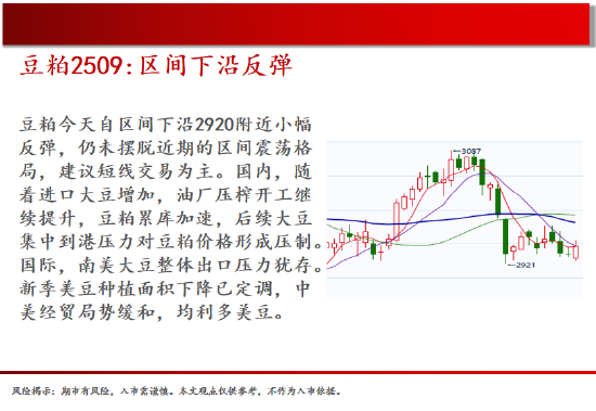中天期货:螺纹关注上涨动能 棕榈继续走高