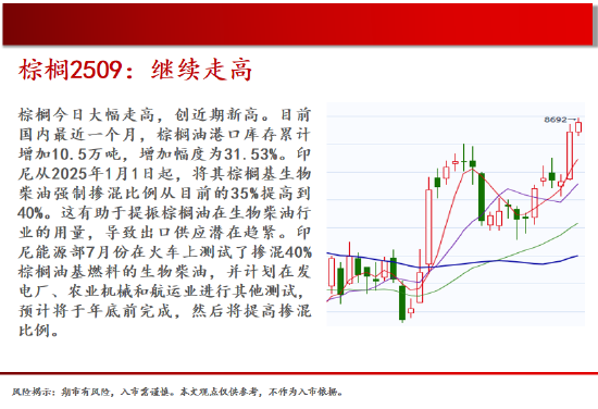 中天期货:螺纹关注上涨动能 棕榈继续走高