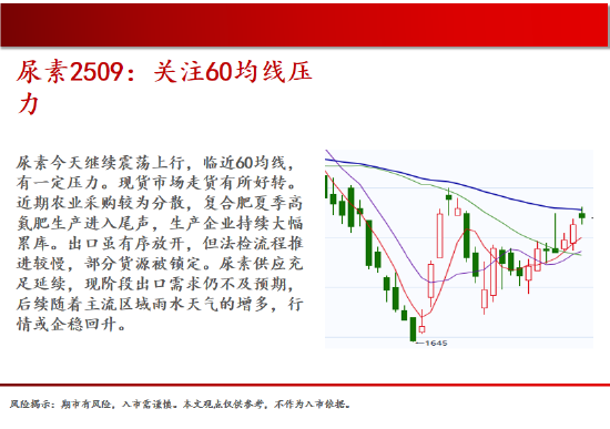 中天期货:螺纹关注上涨动能 棕榈继续走高