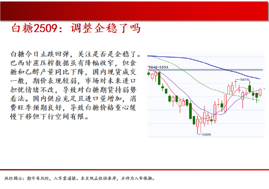 中天期货:螺纹关注上涨动能 棕榈继续走高