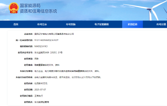 隐瞒重要事实文件资料，国网辽宁电力葫芦岛供电公司、建昌县供电分公司共被罚75万